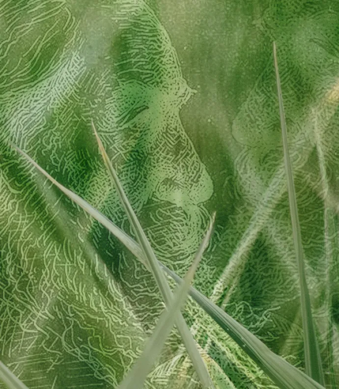 Whitman in the grass