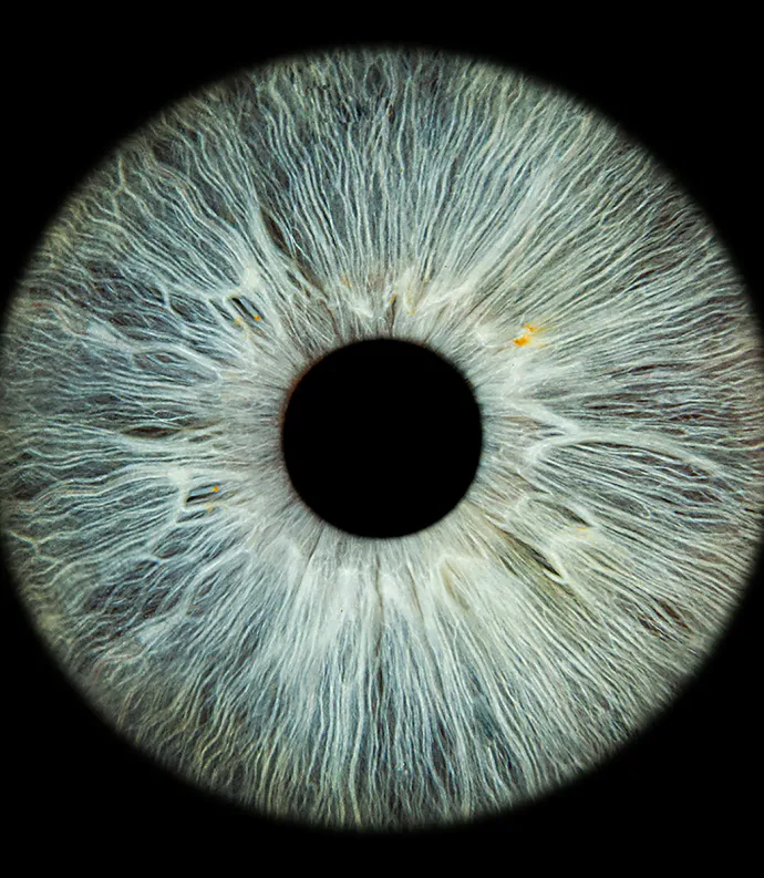 Eyeball closeup