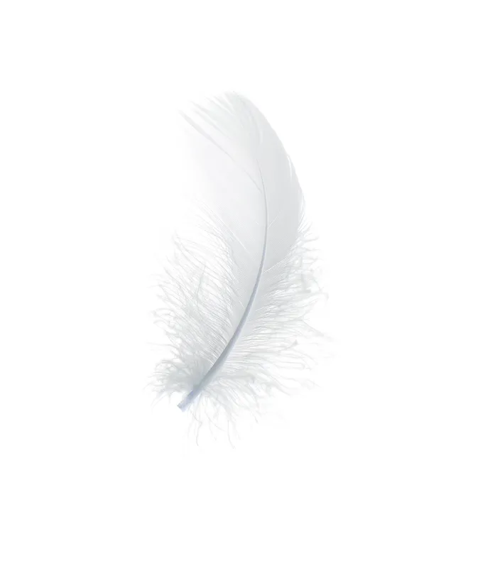 Three white feathers