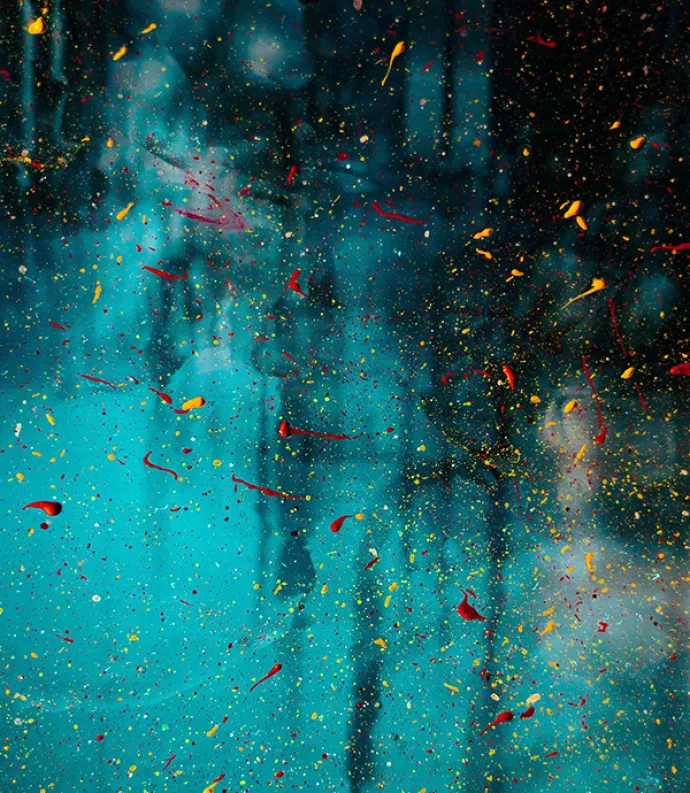 Header Graphic: Yellow & red pedals falling onto a body of water | Image Credit: Unsplash
