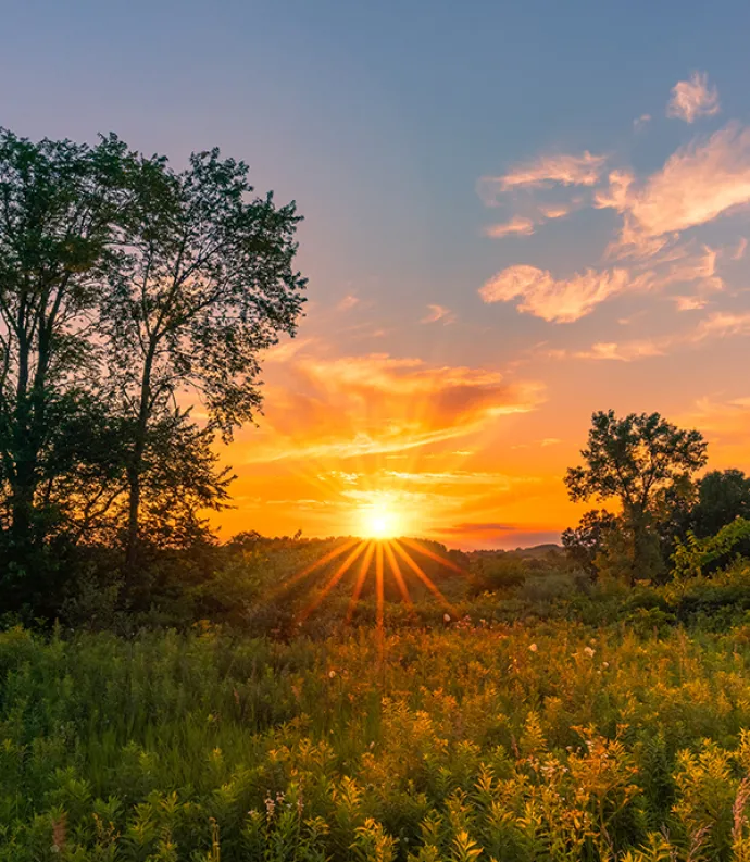 Header Graphic: Midwest Prairie Grass during a Sunset | Image Credit: Dave via Unsplash