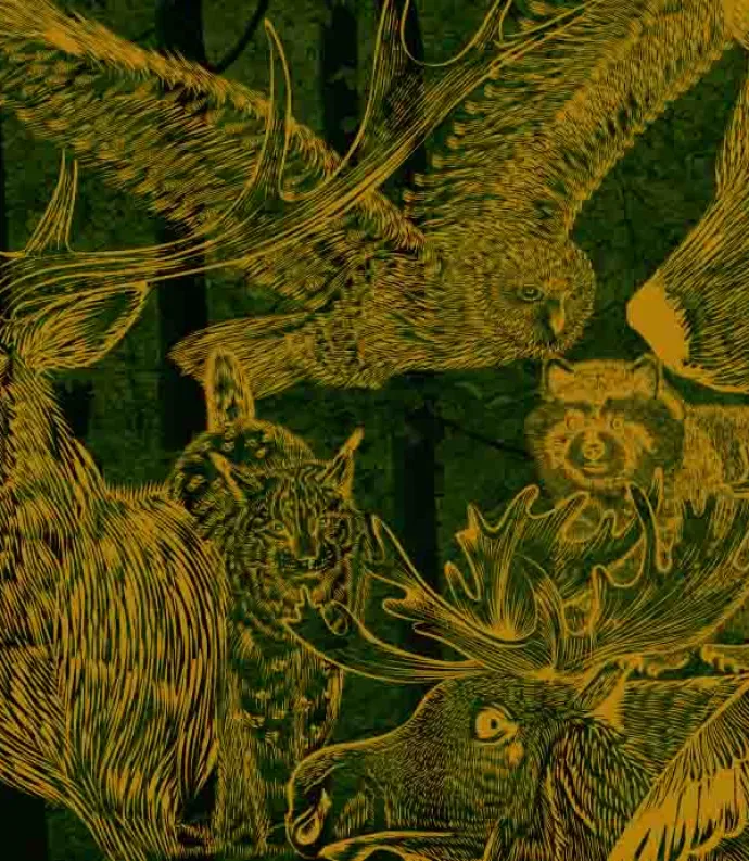 etchings of various animals