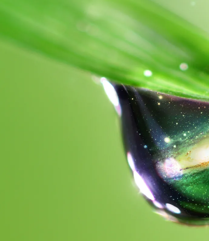 a galaxy in a dew drop