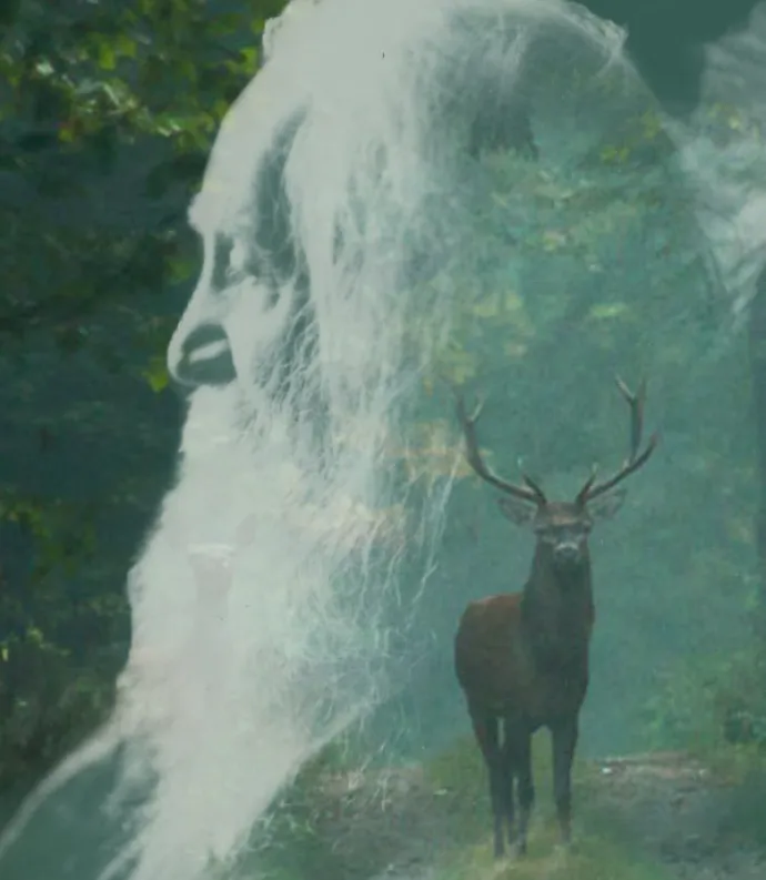 Profile of Whitman over a forest scene