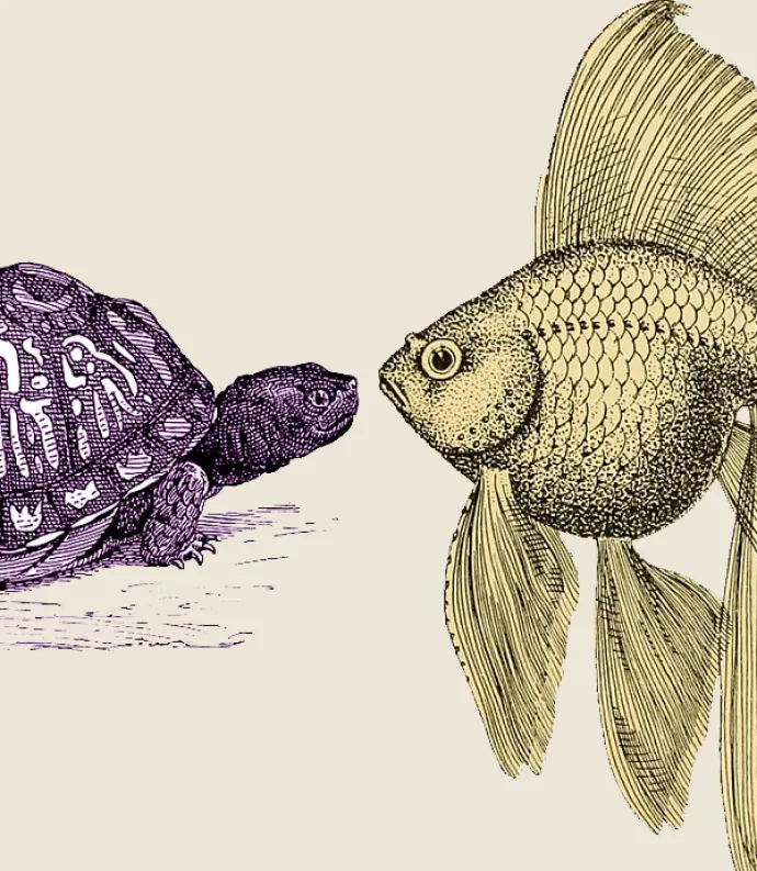Turtle talking to fish