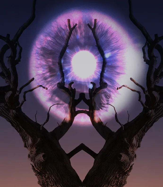 Bare trees with an iris in the sky