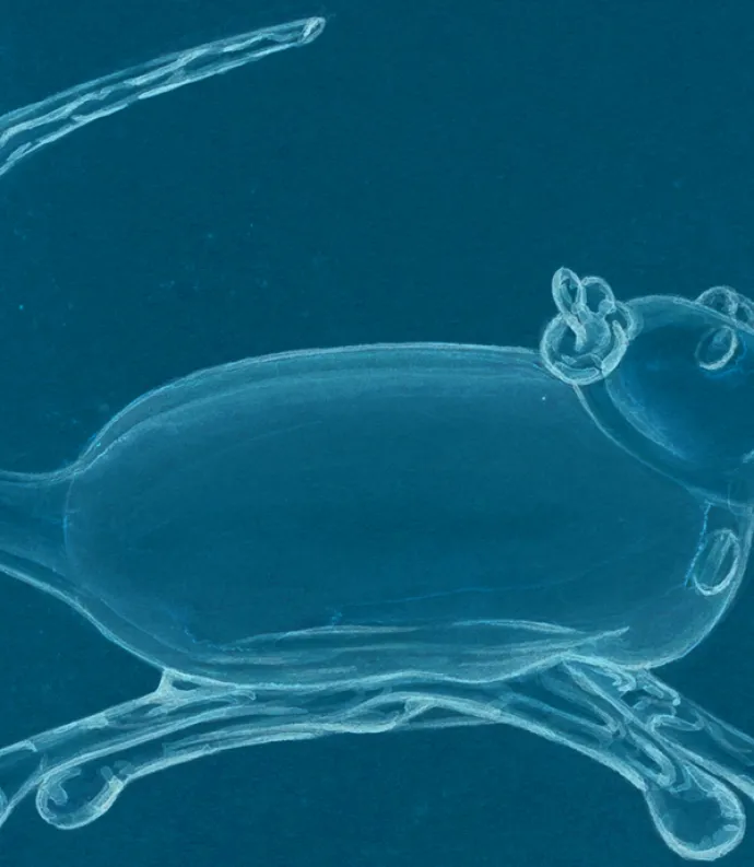 drawing of a mouse