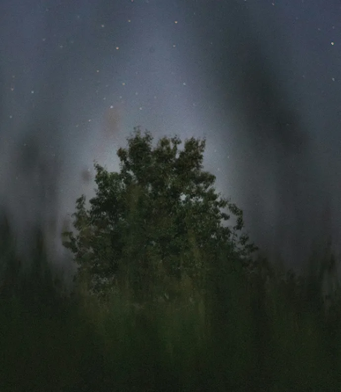 night sky with tree