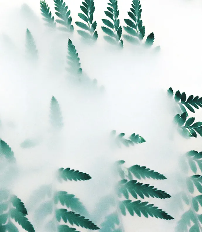 Header 4
