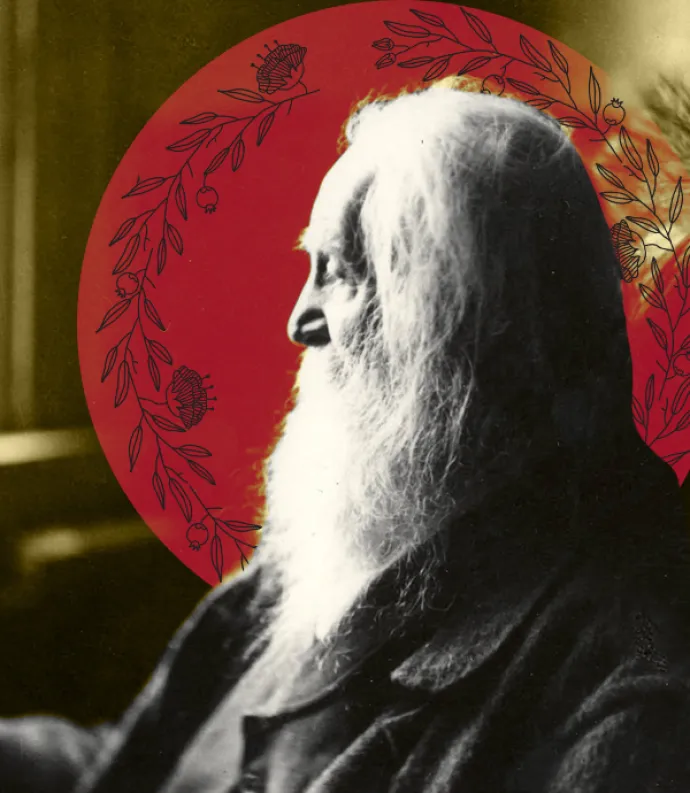 Whitman with a harvest halo