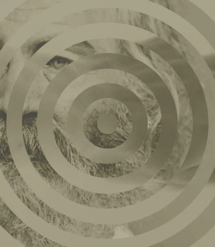 Whitman with a spiral