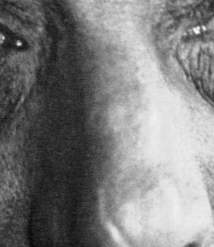 Luigi Pirandello