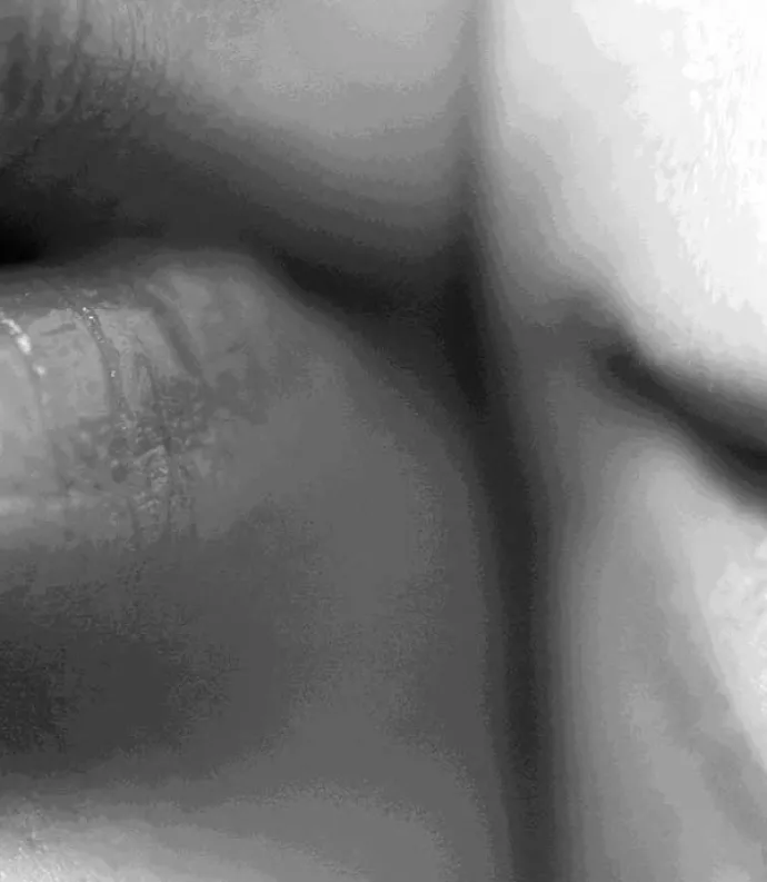 Pair of gray lips