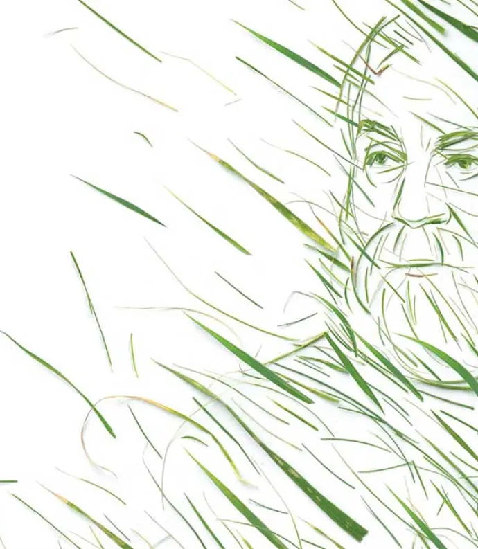 Whitman as grass, grass as Whitman