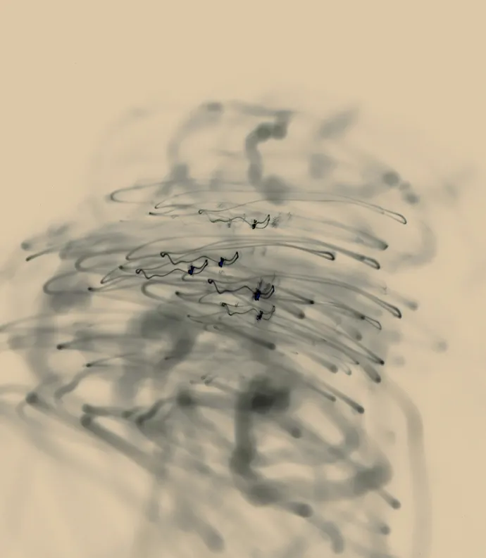 scribbles