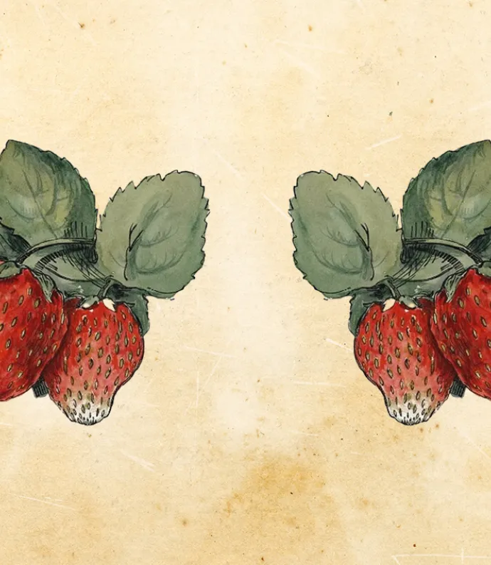 strawberries