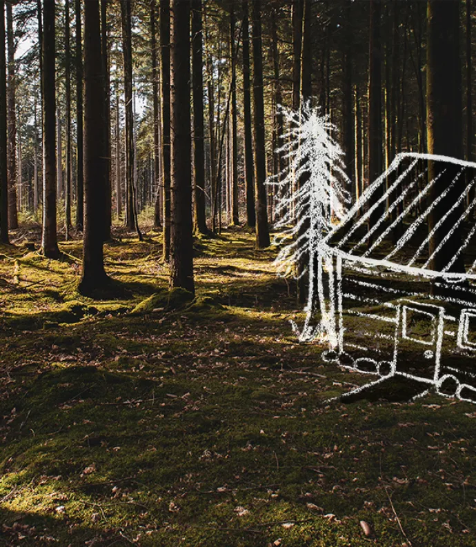 wooded scene with a drawn in white house outline