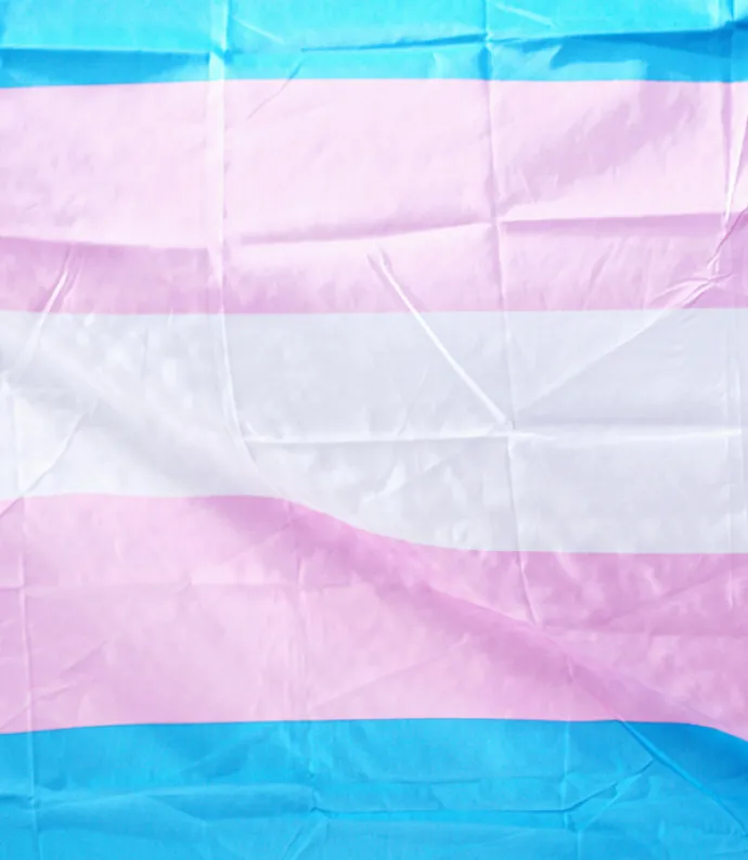 Light blue, pink, and white stripes of a trans flag