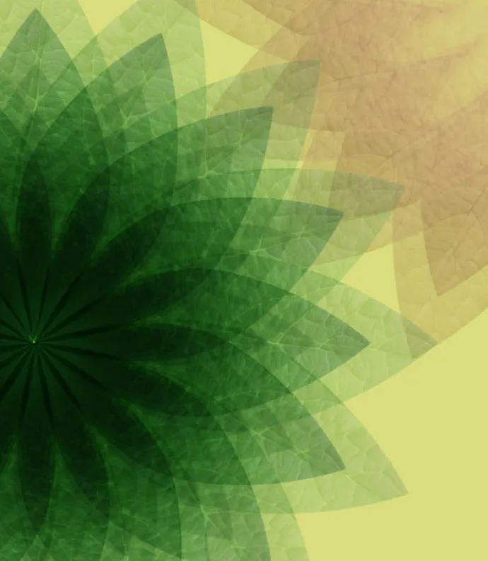 overlapping leaf shapes forming a flower